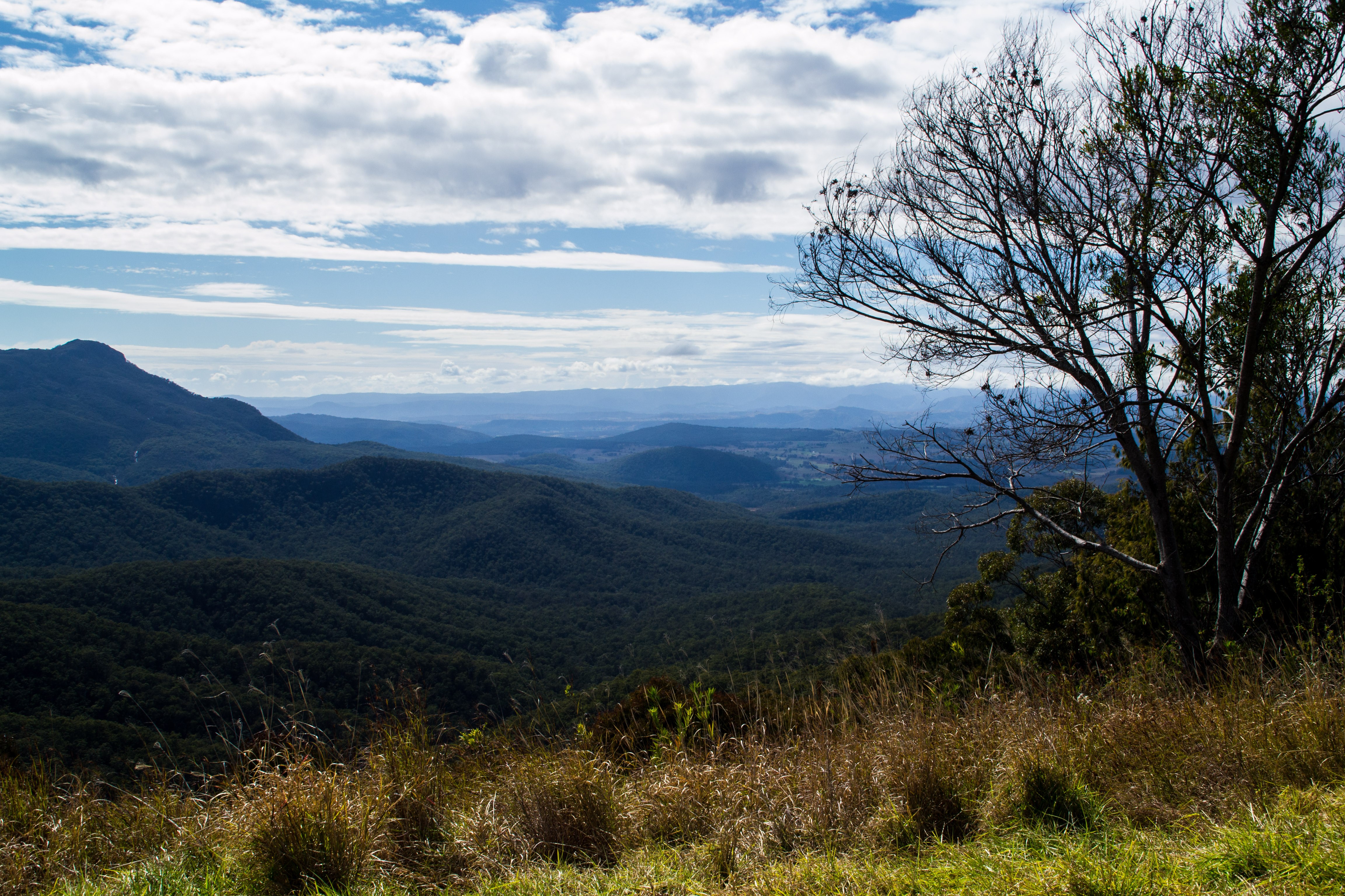 Waterfall Creek Reserve {Campsite Review}
