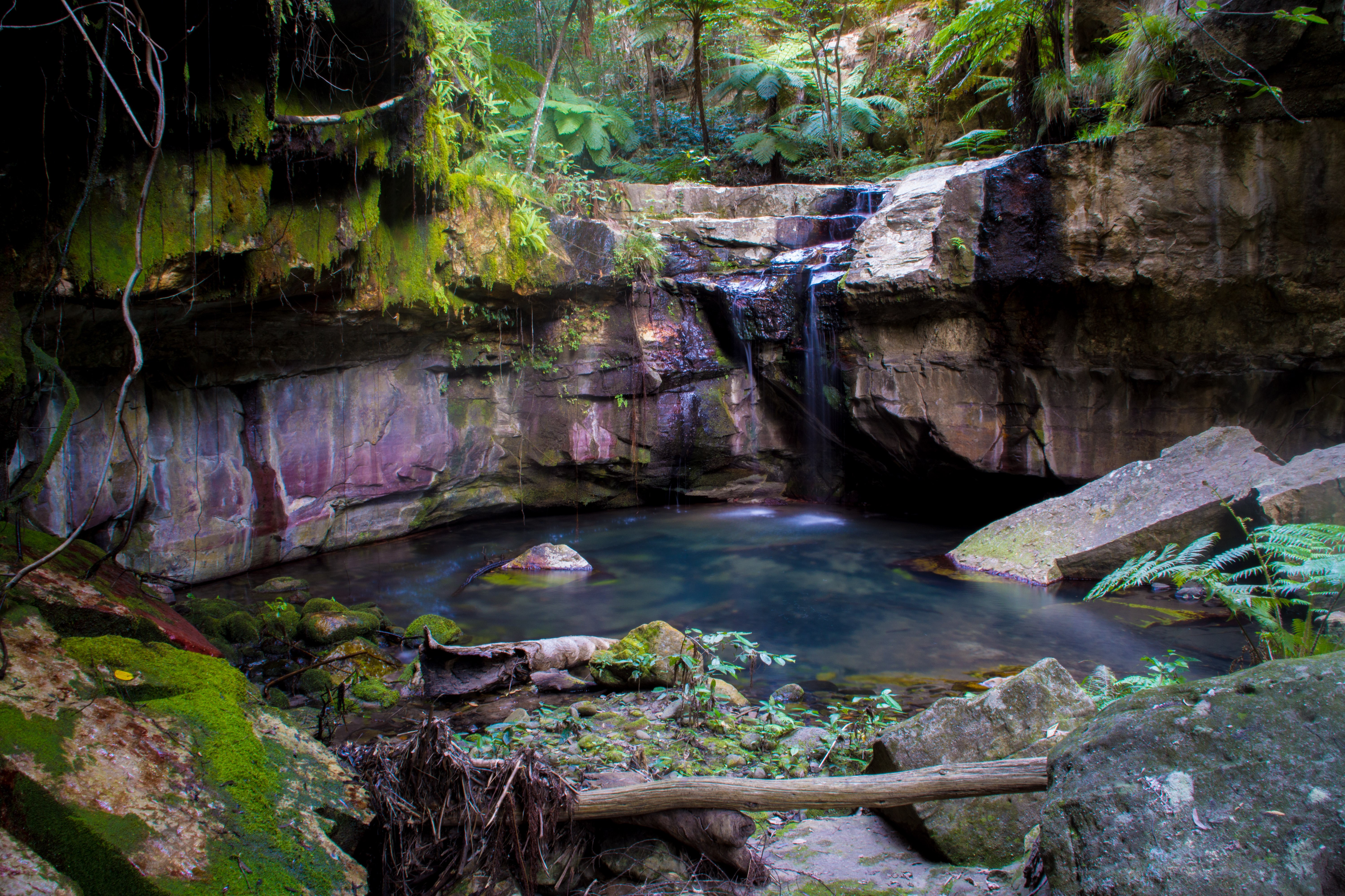 Carnarvon Gorge